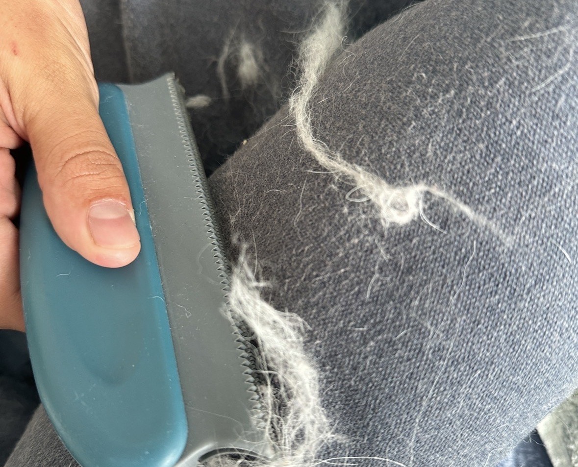 Pet hair removal from upholstery