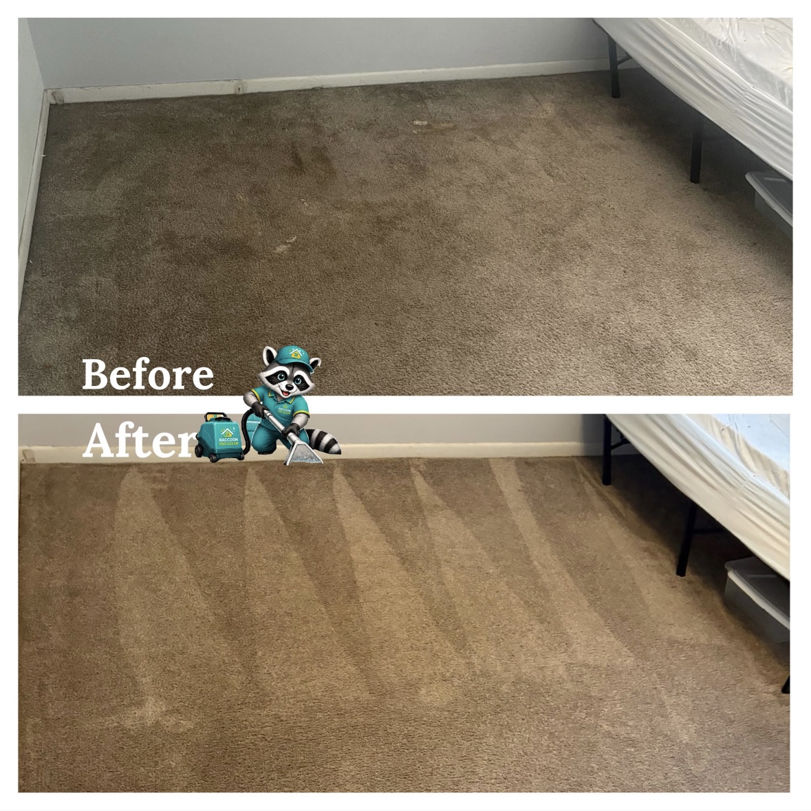 Carpet cleaning before and after
