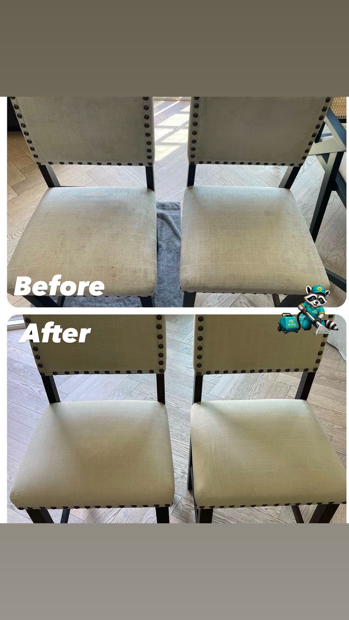 Dining chair cleaning before and after