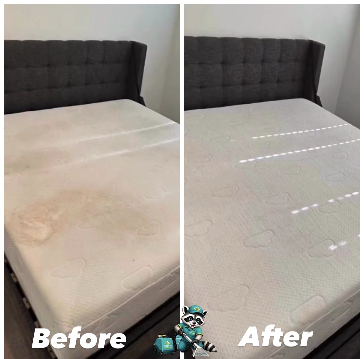 Mattress cleaning before and after