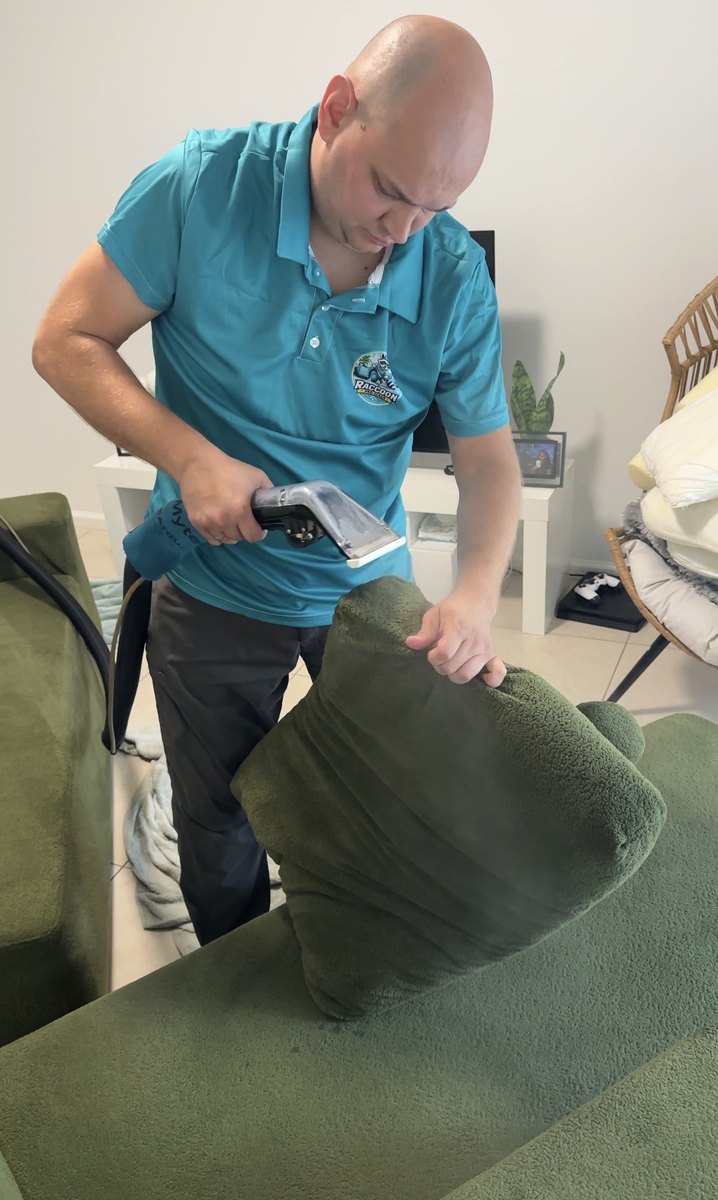 Cleaning a sofa cushion